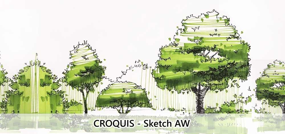 croquis-arboles-sketch-aw