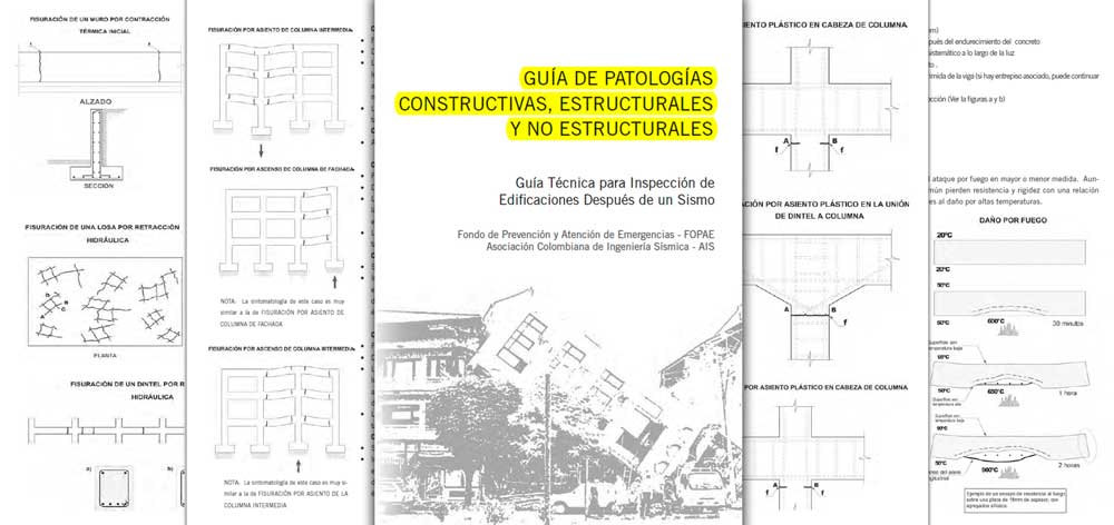 Guía de Patologías Constructivas Estructurales